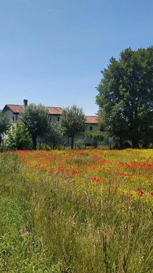 Porte Di Venezia, Tessera Aeroporto Favaro Veneto